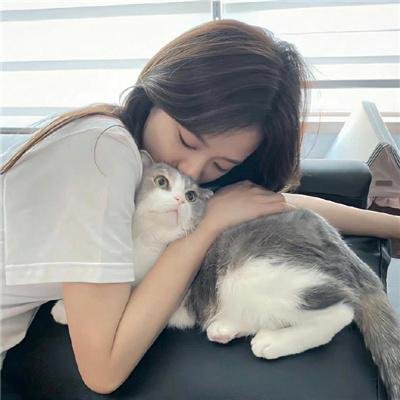 龙兄鼠弟粤语
